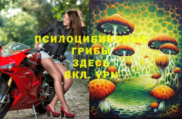 индика Алексин