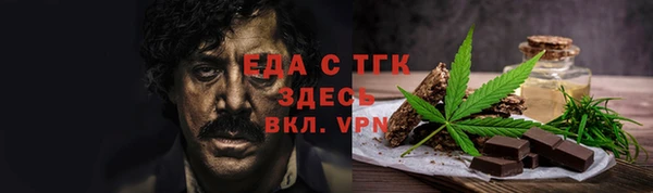 индика Алексин