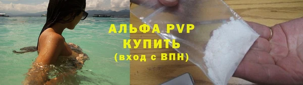 индика Алексин