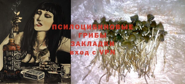 индика Алексин
