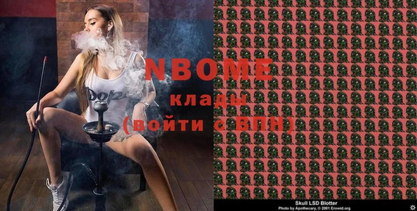 индика Алексин