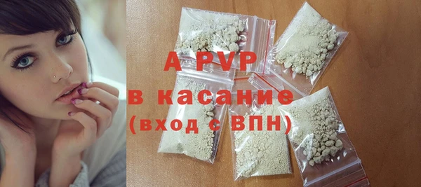 индика Алексин