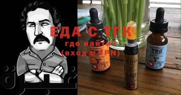 индика Алексин