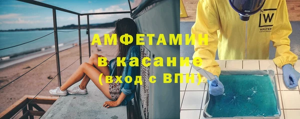 индика Алексин